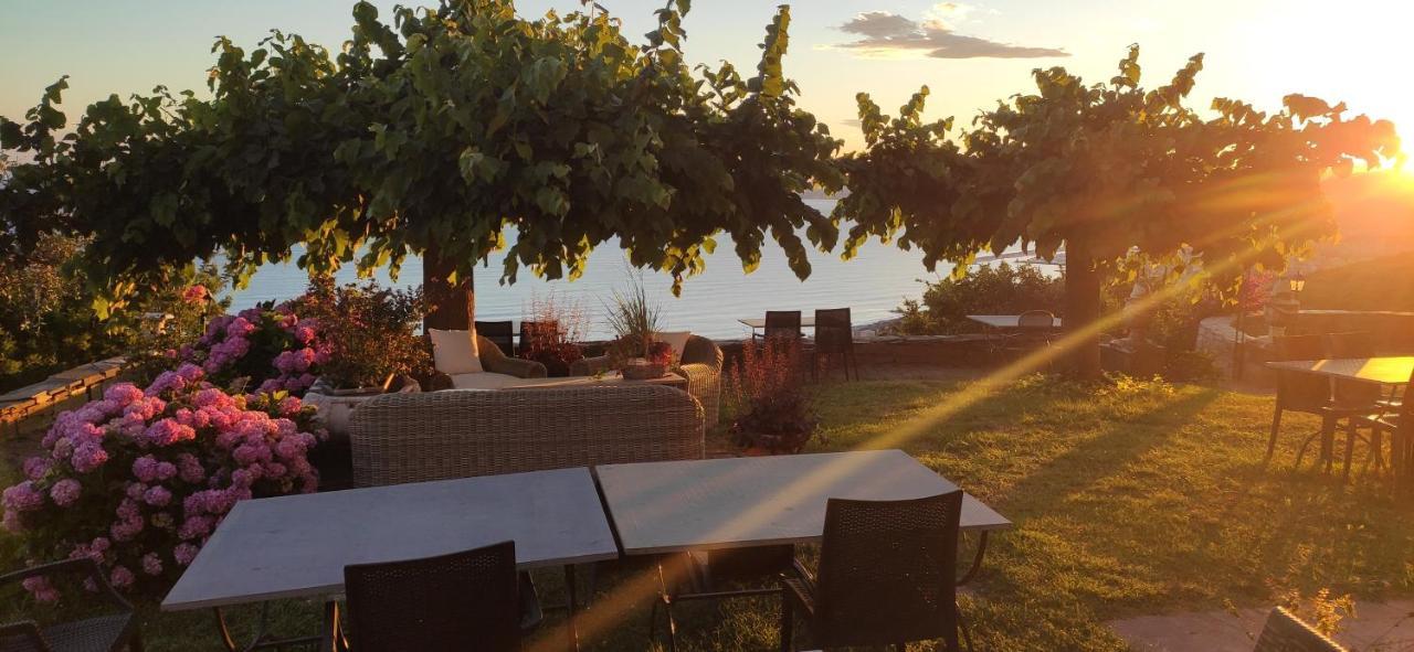 Olivenere Agriturismo Lavagna Εξωτερικό φωτογραφία