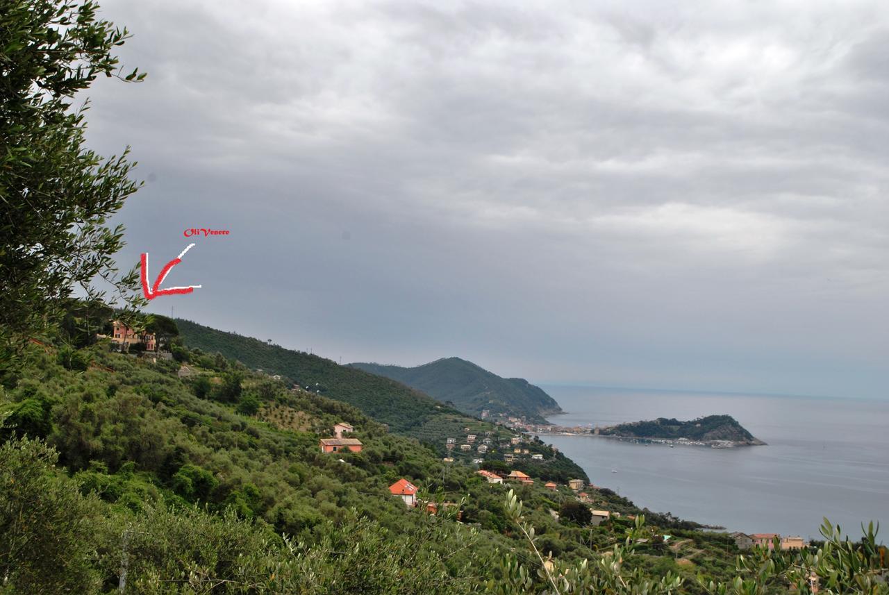 Olivenere Agriturismo Lavagna Εξωτερικό φωτογραφία
